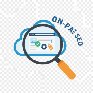 Asikur Rahman Asik best On page SEO